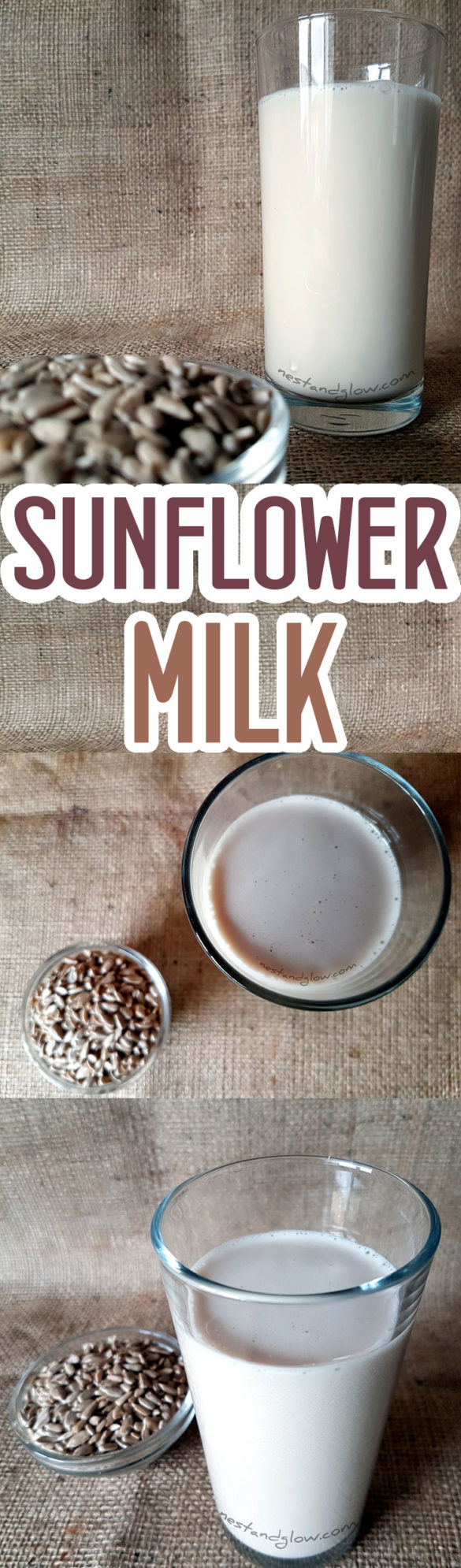 Sunflower Seed Vanilla Milk Recipe Dairy and Nut Free Raw Seed Milk