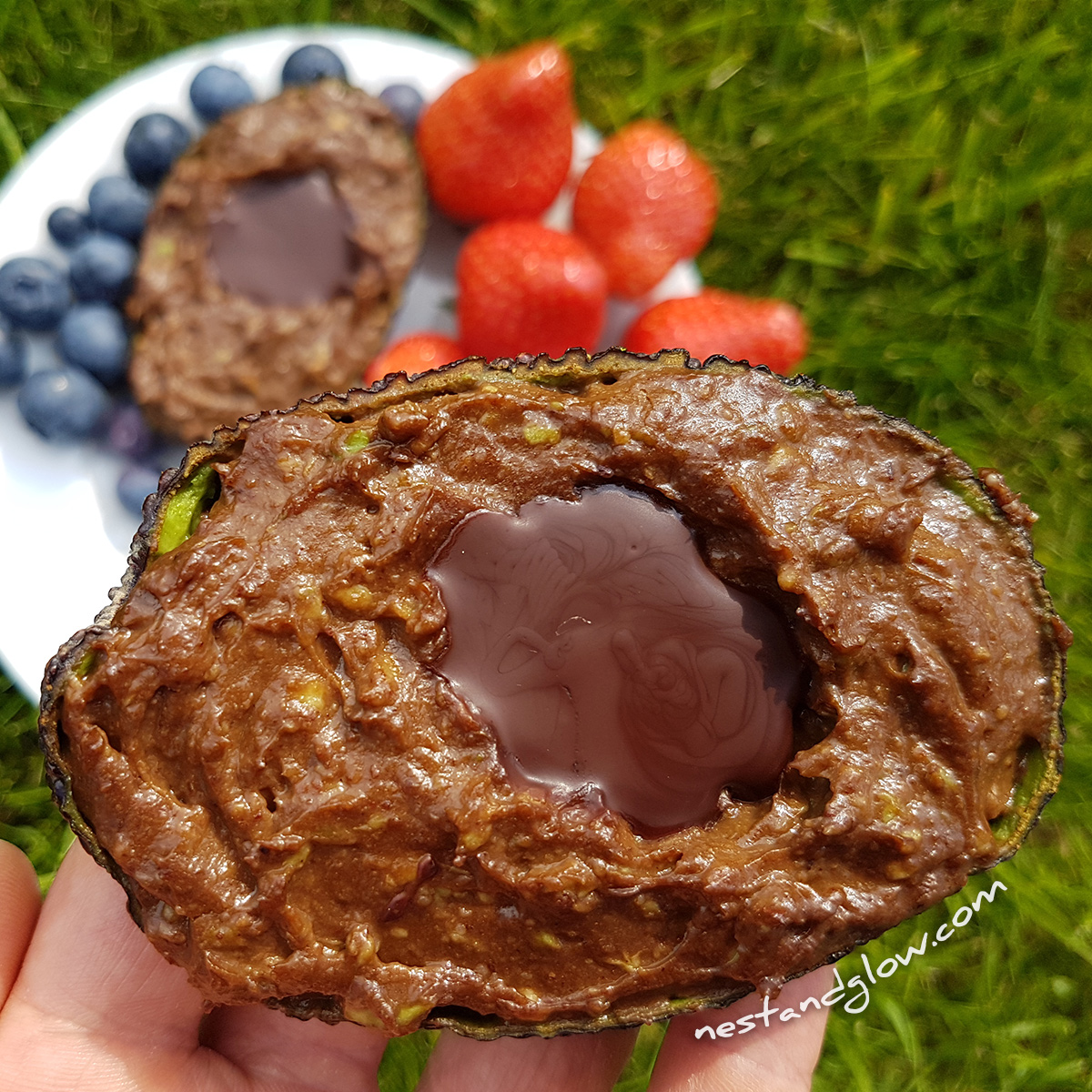 Chocolate Avocado Nut Pudding – Nest And Glow